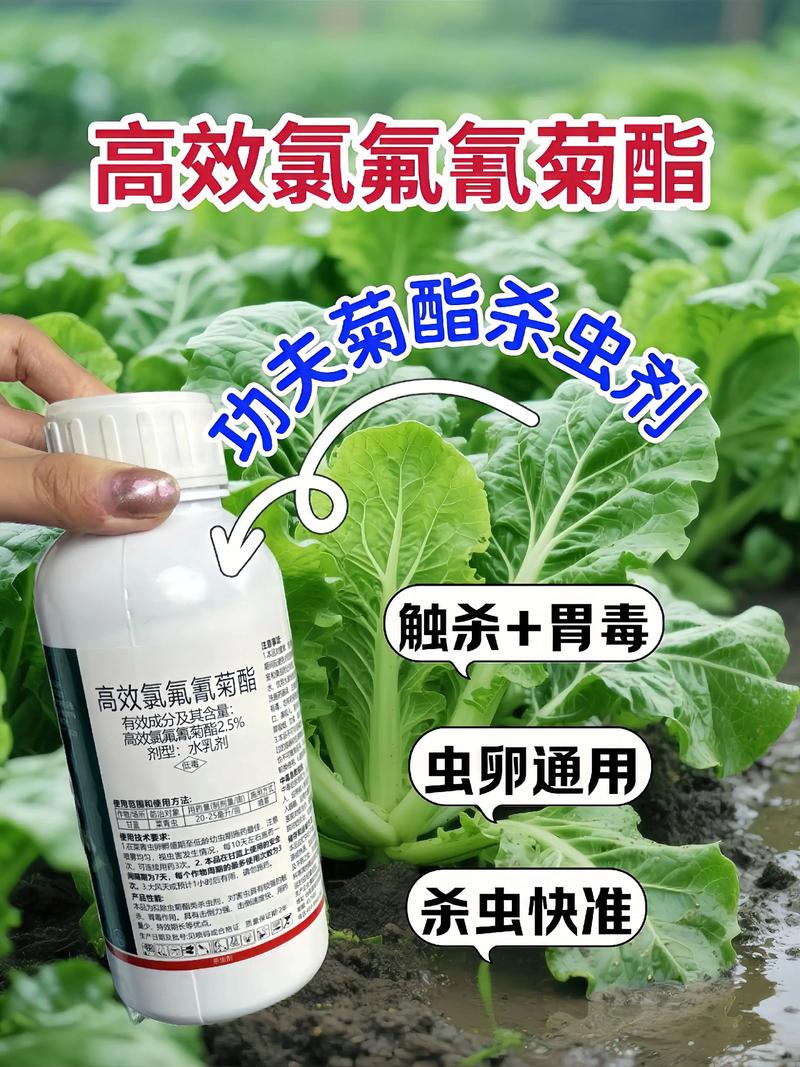 合川代生中心:农药对供卵代生妈妈的危害